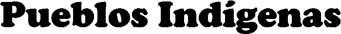 Pueblos Indígenas