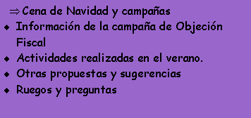 Cuadro de texto: Cena de Navidad y campa�asInformaci�n de la campa�a de Objeci�n FiscalActividades realizadas en el verano.Otras propuestas y sugerenciasRuegos y preguntas